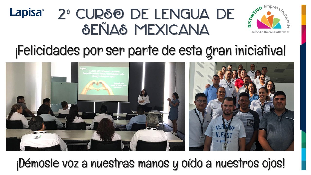 2°-curso-LSM.jpg#asset:2540