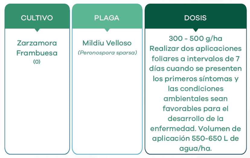 Captura-de-pantalla-2024-04-25-a-las-11.28.44-a.m.png#asset:3193