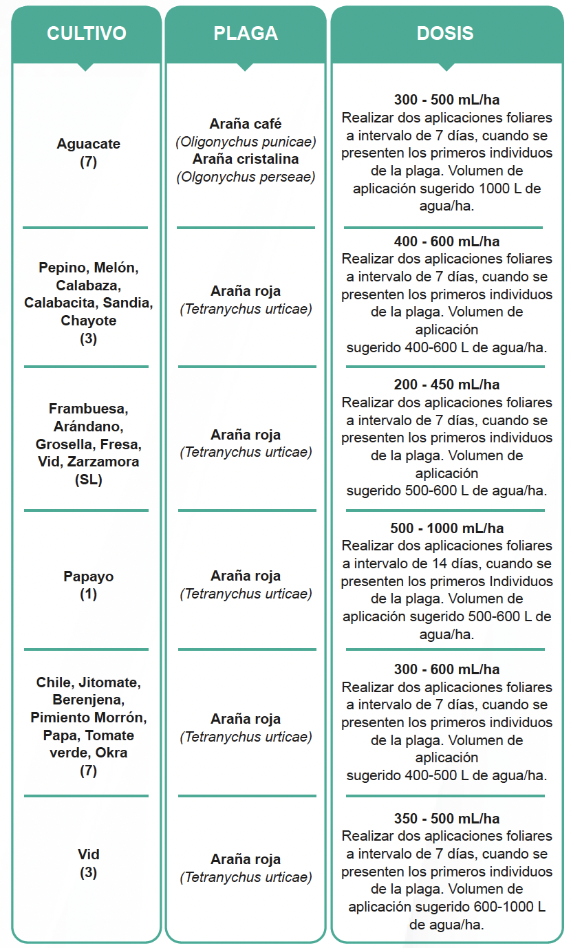 Tabla_Atalanta.png#asset:3480