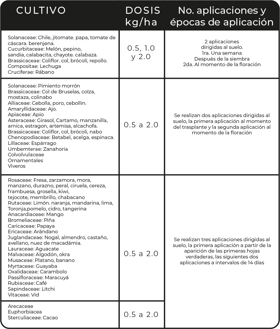 Tabla_Humik@300x-100.jpg#asset:3405