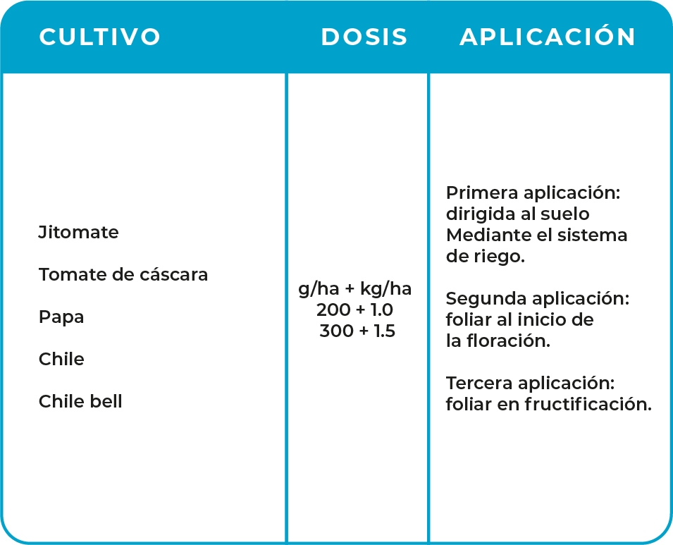 Tabla_Maxifrut@300x-100.jpg#asset:3399