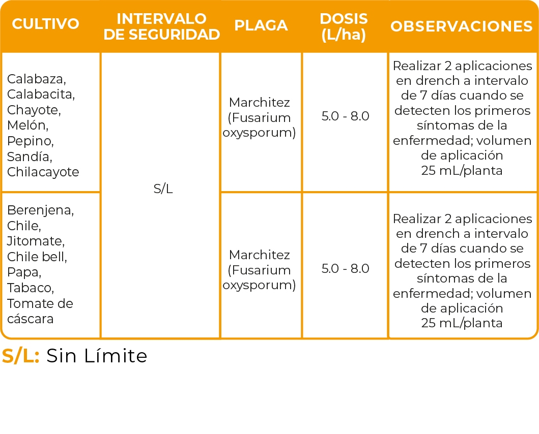 Tabla_Multibac@300x-100.jpg#asset:3395