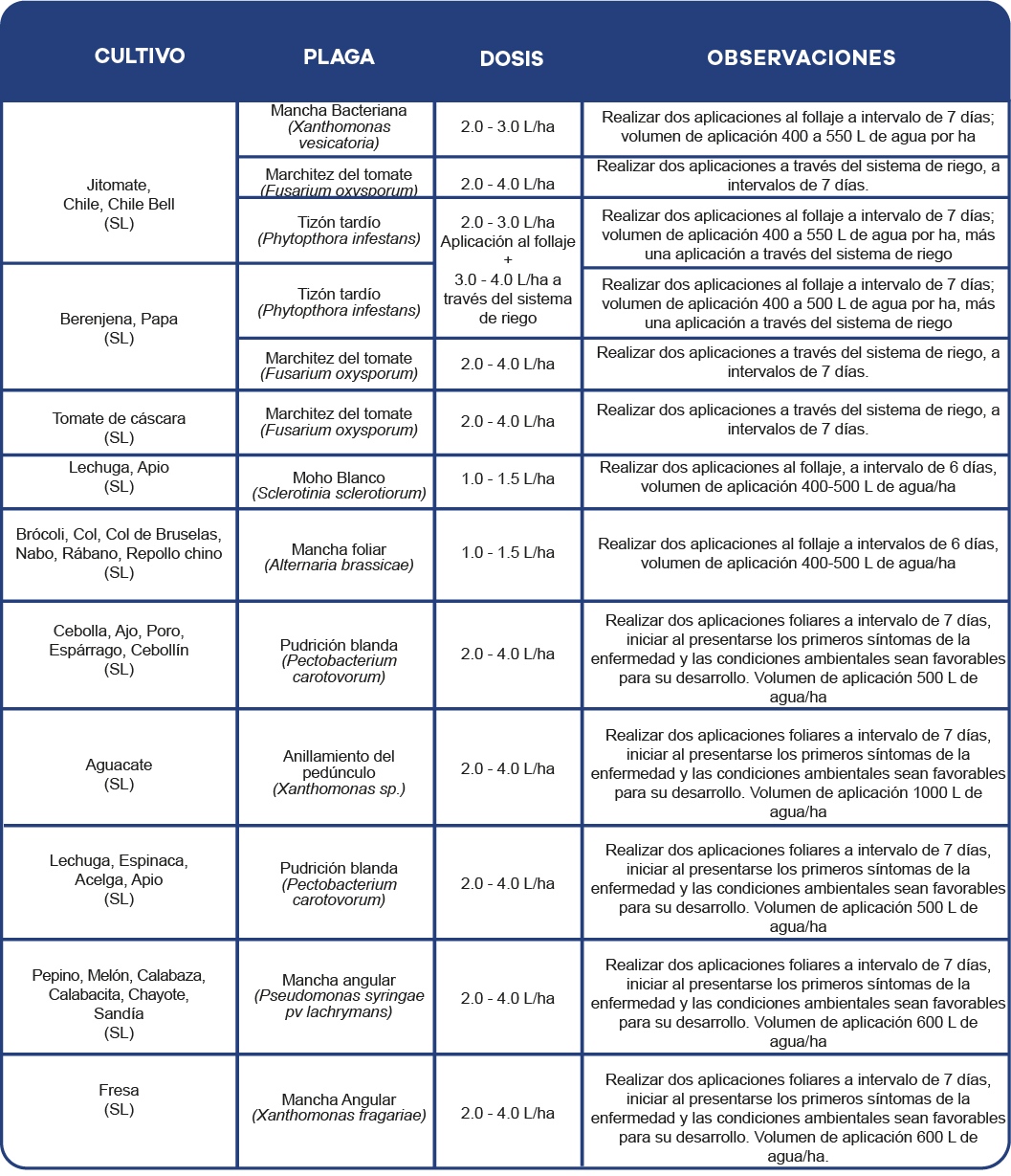 Tabla_Sedric@300x-100.jpg#asset:3386