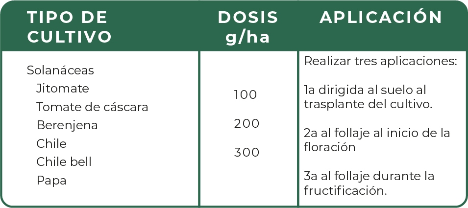 Tabla_organol@300x-100.jpg#asset:3388