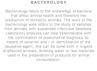 BACTEROLOGY Bacteriology refers to the knowledge of bacteria that affect animal health and therefore the production of domestic animals. The work of the bacteriology area refers to the study of samples from animals with suspected infectious diseases. Laboratory analyzes can help Veterinarians with the confirmation of presumptive diagnosis by means of isolation and / or identification of the causative agent, this can be done both in organs of affected animals, drinking water or raw materials used in the preparation of products for animal consumption.