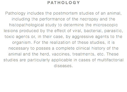 PATHOLOGY Pathology includes the postmortem studies of an animal, including the performance of the necropsy and the histopathological study to determine the microscopic lesions produced by the effect of viral, bacterial, parasitic, toxic agents or, in their case, by aggressive agents to the organism. For the realization of these studies, it is necessary to posses a complete clinical history of the animal and the herd, vaccines, treatments, etc. These studies are particularly applicable in cases of multifactorial diseases.