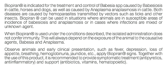 Biopiran® is indicated for the treatment and control of Babesia spp caused by Babesiosis in cattle, horses and dogs, as well as caused by Anaplasma anaplasmosis in cattle. Both diseases are caused by hemoparasites transmitted by vectors such as ticks and other insects. Biopiran ® can be used in situations where animals are in susceptible areas of incidence of babesiosis and anaplasmosis or in cases where infections are mixed or unknown agent. When Biopiran® is used under the conditions described, the isolated administration does not confer immunity. This will always depend on the exposure of the animal to the causative agents, Babesia and Anaplasma. Observe animals and early clinical presentation, such as fever, depression, loss of appetite, breathing, hemoglobinuria, jaundice, etc., apply Biopiran® signs. Together with the use of this product, it is recommended to provide symptomatic treatment (antipyretics, antiinflammatory) and support (antibiotics, vitamins, hematopoietic). 