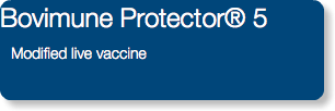 Bovimune Protector® 5 Modified live vaccine