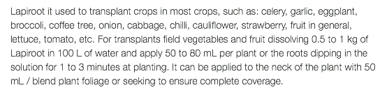 Lapiroot it used to transplant crops in most crops, such as: celery, garlic, eggplant, broccoli, coffee tree, onion, cabbage, chilli, cauliflower, strawberry, fruit in general, lettuce, tomato, etc. For transplants field vegetables and fruit dissolving 0.5 to 1 kg of Lapiroot in 100 L of water and apply 50 to 80 mL per plant or the roots dipping in the solution for 1 to 3 minutes at planting. It can be applied to the neck of the plant with 50 mL / blend plant foliage or seeking to ensure complete coverage.