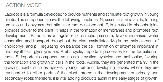  ACTION MODE Lapiroot It is a formula developed to provide nutrients and stimulate root growth in young plants. The components have the following functions: N, essential amino acids, forming proteins and enzymes that stimulate root development. P, is located in phospholipids provides power to the plant, it helps in the formation of membranes and promotes root development. K, acts as a regulator of osmotic pressure, favors increased water absorption and transport throughout the plant assimilates. Mg is the main element of chlorophyll, and pH regulating ion balance the cell, formation of enzymes important in photosynthesis, glycolysis and Krebs cycle, important processes for the formation of roots. S, important component amino acids cystine, cysteine and methionine, favoring the formation and growth of cells in the roots. Auxins, they are generated mainly in the growing points such as apexes, young fruit and developing leaves, where they are transported to other parts of the plant; promote the development of primary and secondary roots; therefore, it is vital adding products auxin in the early stages of growth.