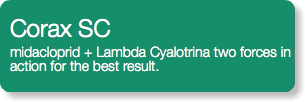 Corax SC midacloprid + Lambda Cyalotrina two forces in action for the best result.