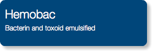 Hemobac Bacterin and toxoid emulsified 