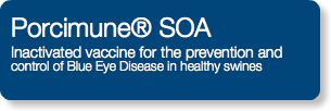 Porcimune® SOA Inactivated vaccine for the prevention and control of Blue Eye Disease in healthy swines
