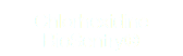 Chlorhexidine BioSentry®