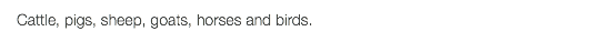 Cattle, pigs, sheep, goats, horses and birds.