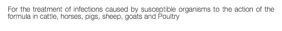 For the treatment of infections caused by susceptible organisms to the action of the formula in cattle, horses, pigs, sheep, goats and Poultry