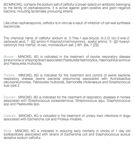 8G MINOXEL contains the sodium salt of ceftiofur a broad-spectrum antibiotic belonging to the family of cephalosporins. It is active against gram-positive and gram-negative bacteria, including lactamase producing strains. Like other cephalosporins, ceftiofur is in vitro as a result of inhibition of cell wall synthesis bactericide. The chemical name of ceftiofur sodium is: 5-Thia-1-aza-bicyclo [4.2.0] oct-2-ene-2-carboxylic acid, 7 - [[(2-amino-4-thiazolyl) (methoxyimino) - acetyl] amino] -3 - [[(2-furanyl-carbonyl) thio] methyl] -8-oxo, monosodium salt, [-6R- [6a, 7 (Z)]]. Bovine : MINOXEL 8G is indicated in the treatment of bovine respiratory disease (pneumonia or shipping fever) associated Pasteurella haemolytica, Haemophilus somnus and Pasteurella multocida. Porcine : MINOXEL 8G is indicated for the treatment and control of swine bacterial respiratory disease (swine bacterial pneumonia) associated with Actinobacillus pleuropneumoniae, Pasteurella multocida, Salmonella choleraesuis and Streptococcus suis type 2. Equines : MINOXEL 8G is indicated for the treatment of respiratory diseases in horses associated with Streptococcus zooepidemicus, Streptococcus equi, Staphylococcus spp and Pasteurella spp. Canines : MINOXEL 8G is indicated in the treatment of urinary tract infections in dogs associated with Escherichia coli and Proteus mirabilis. Birds : MINOXEL 8G is indicated in reducing early mortality in chicks of 1 day old (colibacillosis) associated with strains of Escherichia coli and Staphylococcus aureus sensitive sodium ceftiofur. 