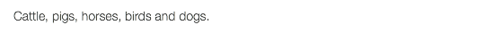 Cattle, pigs, horses, birds and dogs.
