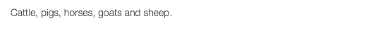 Cattle, pigs, horses, goats and sheep.