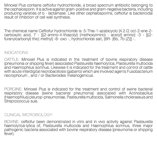 Minoxel Plus contains ceftiofur hydrochloride, a broad spectrum antibiotic belonging to the cephalosporin. It is active against gram-positive and gram-negative bacteria, including producing varieties of b - lactamase. Like other cephalosporins, ceftiofur is bactericidal result of inhibition of cell wall synthesis. The chemical name Ceftiofur hydrochloride is: 5-Thia-1-azabicyclo [4.2.0] oct-2-ene-2-carboxylic acid, 7 - [[(2-amino-4-thiazolyl) (methoxyimino) - acetyl] amino] -3 - [[(2-furanylcarbonyl) thio] methyl] -8- oxo -, hydrochloride salt, [6R- [6b, 7b (Z)]] -. INDICATIONS CATTLE: Minoxel Plus is indicated in the treatment of bovine respiratory disease (pneumonia or shipping fever) associated Pasteurella haemolytica, Pasteurella multocida and Haemophilus somnus. Likewise it is indicated for the treatment and control of cattle with acute interdigital necrobacillosis (gabarro) which are involved agents Fusobacterium necrophorum , and / or Bacteroides melanogenicus. PORCINE: Minoxel Plus is indicated for the treatment and control of swine bacterial respiratory disease (swine bacterial pneumonia) associated with Actinobacillus (Haemophilus) pleurop-pneumoniae, Pasteurella multocida, Salmonella choleraesuis and Streptococcus suis. CLINICAL MICROBIOLOGY: BOVINE: ceftiofur been demonstrated in vitro and in vivo activity against Pasteurella haemolytica-lytica of, Pasteurella multocida and Haemophilus somnus, three major pathogenic bacteria associated with bovine respiratory disease (pneumonia or shipping fever). 