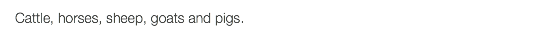Cattle, horses, sheep, goats and pigs.