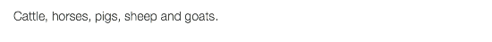 Cattle, horses, pigs, sheep and goats.