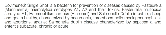 Bovimune® Single Shot is a bacterin for prevention of diseases caused by Pasteurella (Mannheimia) haemolytica serotypes A1, A2 and their toxins, Pasteurella multocida serotype A1, Haemophilus somnus (H. somni) and Salmonella Dublin in cattle, sheep and goats healthy, characterized by pneumonia, thromboembolic meningoencephalitis and abortions, against Salmonella dublin disease characterized by septicemia and enteritis subacute, chronic or acute. 