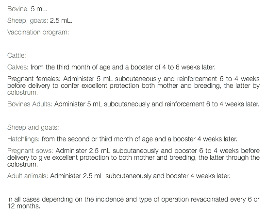 Bovine: 5 mL. Sheep, goats: 2.5 mL. Vaccination program: Cattle: Calves: from the third month of age and a booster of 4 to 6 weeks later. Pregnant females: Administer 5 mL subcutaneously and reinforcement 6 to 4 weeks before delivery to confer excellent protection both mother and breeding, the latter by colostrum. Bovines Adults: Administer 5 mL subcutaneously and reinforcement 6 to 4 weeks later. Sheep and goats: Hatchlings: from the second or third month of age and a booster 4 weeks later. Pregnant sows: Administer 2.5 mL subcutaneously and booster 6 to 4 weeks before delivery to give excellent protection to both mother and breeding, the latter through the colostrum. Adult animals: Administer 2.5 mL subcutaneously and booster 4 weeks later. In all cases depending on the incidence and type of operation revaccinated every 6 or 12 months. 