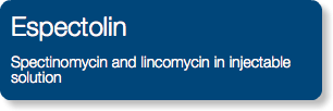 Espectolin Spectinomycin and lincomycin in injectable solution
