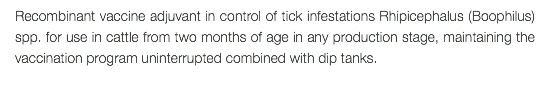 Recombinant vaccine adjuvant in control of tick infestations Rhipicephalus (Boophilus) spp. for use in cattle from two months of age in any production stage, maintaining the vaccination program uninterrupted combined with dip tanks. 