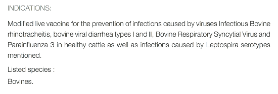 INDICATIONS: Modified live vaccine for the prevention of infections caused by viruses Infectious Bovine rhinotracheitis, bovine viral diarrhea types I and II, Bovine Respiratory Syncytial Virus and Parainfluenza 3 in healthy cattle as well as infections caused by Leptospira serotypes mentioned. Listed species : Bovines.