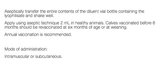  Aseptically transfer the entire contents of the diluent vial bottle containing the lyophilisate and shake well. Apply using aseptic technique 2 mL in healthy animals. Calves vaccinated before 6 months should be revaccinated at six months of age or at weaning. Annual vaccination is recommended. Mode of administration: Intramuscular or subcutaneous. 