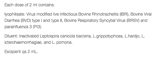 Each dose of 2 ml contains: lyophilisate: Virus modified live Infectious Bovine Rhinotracheitis (IBR), Bovine Viral Diarrhea (BVD) type I and type II, Bovine Respiratory Syncytial Virus (BRSV) and parainfluenza 3 (PI3). Diluent: Inactivated Leptospira canicola bacteria, L.grippotyphosa, L.hardjo, L. icterohaemorrhagiae, and L. pomona. Excipient qs 2 mL. 