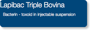 Lapibac Triple Bovina Bacterin - toxoid in injectable suspension