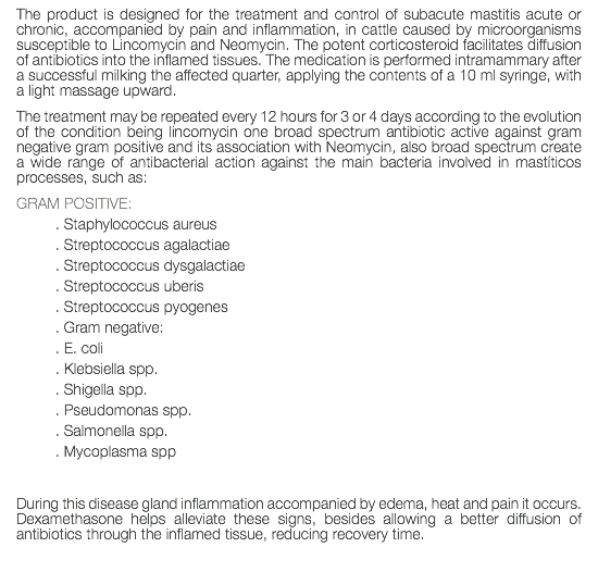 The product is designed for the treatment and control of subacute mastitis acute or chronic, accompanied by pain and inflammation, in cattle caused by microorganisms susceptible to Lincomycin and Neomycin. The potent corticosteroid facilitates diffusion of antibiotics into the inflamed tissues. The medication is performed intramammary after a successful milking the affected quarter, applying the contents of a 10 ml syringe, with a light massage upward. The treatment may be repeated every 12 hours for 3 or 4 days according to the evolution of the condition being lincomycin one broad spectrum antibiotic active against gram negative gram positive and its association with Neomycin, also broad spectrum create a wide range of antibacterial action against the main bacteria involved in mastíticos processes, such as: GRAM POSITIVE: . Staphylococcus aureus . Streptococcus agalactiae . Streptococcus dysgalactiae . Streptococcus uberis . Streptococcus pyogenes . Gram negative: . E. coli . Klebsiella spp. . Shigella spp. . Pseudomonas spp. . Salmonella spp. . Mycoplasma spp During this disease gland inflammation accompanied by edema, heat and pain it occurs. Dexamethasone helps alleviate these signs, besides allowing a better diffusion of antibiotics through the inflamed tissue, reducing recovery time. 