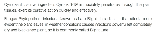 Cymoxanil , active ingredient Cymox 10® immediately penetrates through the plant tissues, exert its curative action quickly and effectively. Fungus Phytophthora infestans known as Late Blight is a disease that affects more evident the plant leaves, in weather conditions causes infections powerful left completely dry and blackened plant, so it is commonly called Blight Late.