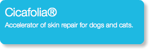 Cicafolia® Accelerator of skin repair for dogs and cats.