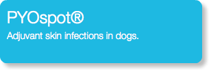 PYOspot® Adjuvant skin infections in dogs.