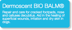 Dermoscent BIO BALM® Repair and care for cracked footpads, nose and calluses decubitus. Aid in the healing of superficial wounds, irritation and dry skin in dogs. 