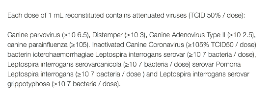  Each dose of 1 mL reconstituted contains attenuated viruses (TCID 50% / dose): Canine parvovirus (≥10 6.5), Distemper (≥10 3), Canine Adenovirus Type II (≥10 2.5), canine parainfluenza (≥105). Inactivated Canine Coronavirus (≥105% TCID50 / dose) bacterin icterohaemorrhagiae Leptospira interrogans serovar (≥10 7 bacteria / dose), Leptospira interrogans serovarcanicola (≥10 7 bacteria / dose) serovar Pomona Leptospira interrogans (≥10 7 bacteria / dose ) and Leptospira interrogans serovar grippotyphosa (≥10 7 bacteria / dose). 