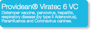 Providean® Viratec 6 VC Distemper vaccine, parvovirus, hepatitis, respiratory disease (by type II Adenovirus), Parainfluenza and Coronavirus canines.