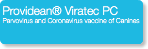 Providean® Viratec PC Parvovirus and Coronavirus vaccine of Canines