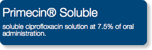 Primecin® Soluble soluble ciprofloxacin solution at 7.5% of oral administration.