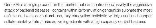 Genoxi® is a single product on the market that can control conclusively the aggressive attack of bacterial diseases , contains within its formulation gentamicin sulphate the most definite antibiotic agricultural use, oxytetracycline antibiotic widely used and copper sulfate pentahydrate , three active ingredients with a high capacity control bacteria.