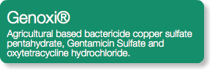 Genoxi® Agricultural based bactericide copper sulfate pentahydrate, Gentamicin Sulfate and oxytetracycline hydrochloride.