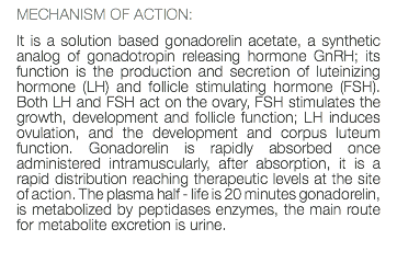 MECHANISM OF ACTION: It is a solution based gonadorelin acetate, a synthetic analog of gonadotropin releasing hormone GnRH; its function is the production and secretion of luteinizing hormone (LH) and follicle stimulating hormone (FSH). Both LH and FSH act on the ovary, FSH stimulates the growth, development and follicle function; LH induces ovulation, and the development and corpus luteum function. Gonadorelin is rapidly absorbed once administered intramuscularly, after absorption, it is a rapid distribution reaching therapeutic levels at the site of action. The plasma half - life is 20 minutes gonadorelin, is metabolized by peptidases enzymes, the main route for metabolite excretion is urine. 