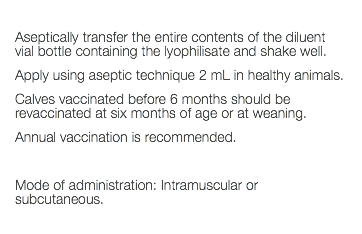  Aseptically transfer the entire contents of the diluent vial bottle containing the lyophilisate and shake well. Apply using aseptic technique 2 mL in healthy animals. Calves vaccinated before 6 months should be revaccinated at six months of age or at weaning. Annual vaccination is recommended. Mode of administration: Intramuscular or subcutaneous. 