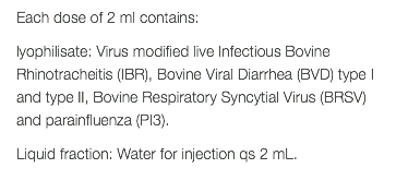 Each dose of 2 ml contains: lyophilisate: Virus modified live Infectious Bovine Rhinotracheitis (IBR), Bovine Viral Diarrhea (BVD) type I and type II, Bovine Respiratory Syncytial Virus (BRSV) and parainfluenza (PI3). Liquid fraction: Water for injection qs 2 mL. 